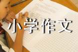 实用的小学作文300字4篇(集合)