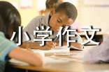 难忘的一天小学作文